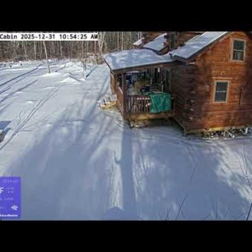 Cedar Rock Cabin Webcam - Experience the Serenity of Goreville, Illinois 🏠❄️