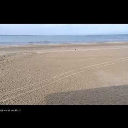 Rockanje Beach Live: North Sea Views in South Holland