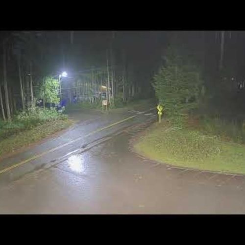 Mason Lake Road Boat Launch Live Webcam in Shelton, Washington