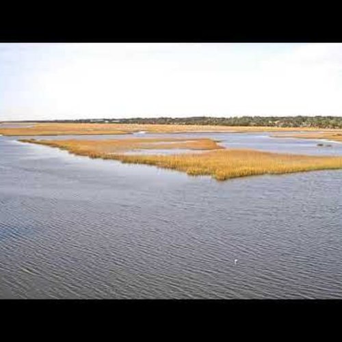 Ocean Isle and Sunset Beach Webcam: Live Coastal Marsh Views
