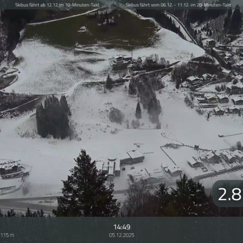 Viehhofen Zell am See Express Live Webcam View