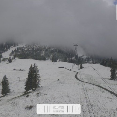Iltios Live Webcam: Snowy Slopes & Alpine Mist | Chaserrugg