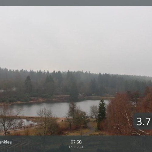 Hahnenklee Lake and Forest Live Webcam, Harz Mountains, Germany