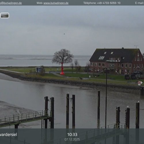 Live Webcam: Fedderwardersiel Harbor in Butjadingen, Germany