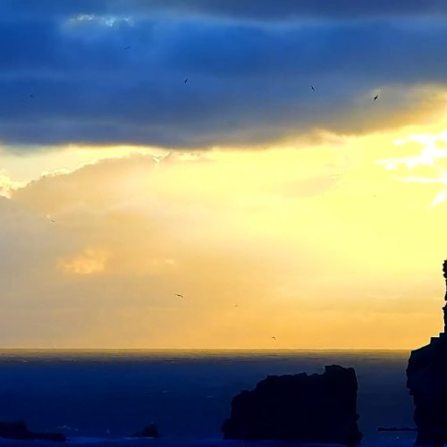 Nazaré Big Waves Live Webcam: Praia do Norte Portugal