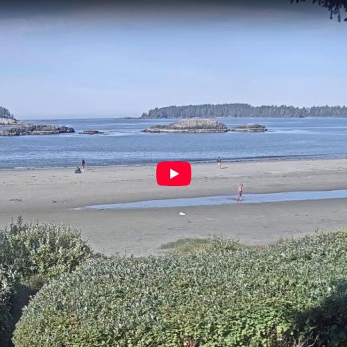 HD Ocean Village Resort Tofino, BC, Canada Live Webcam