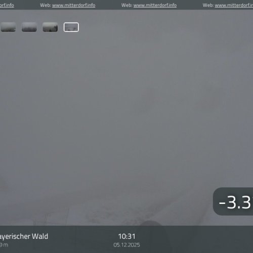 Almberggipfel Live Webcam: Philippsreut & Bavarian Forest Views
