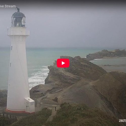 Castlepoint Lighthouse Live Webcam: New Zealand's Dramatic Coast