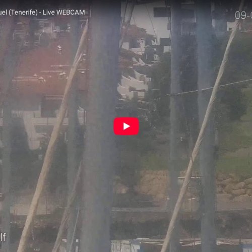 Marina Amarilla San Miguel, Tenerife Live Webcam
