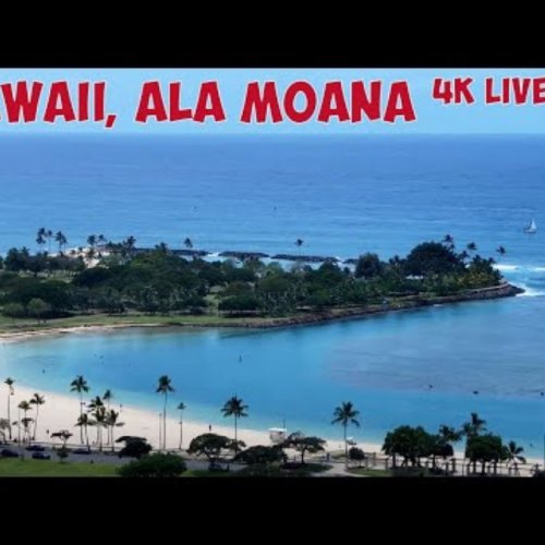 Ala Moana Beach Park Live: Honolulu, Oahu Webcam