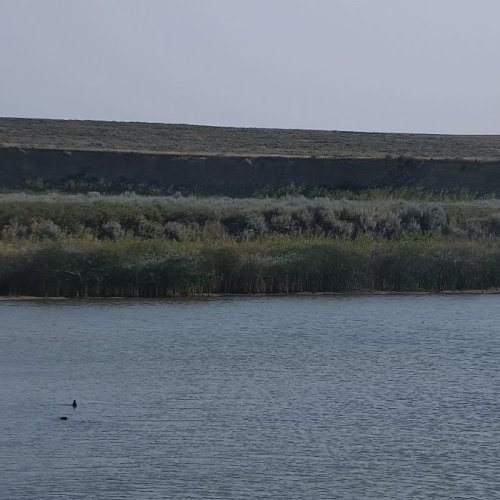 Malta Montana Live Webcam: Watch The Bitterroot Valley Come Alive