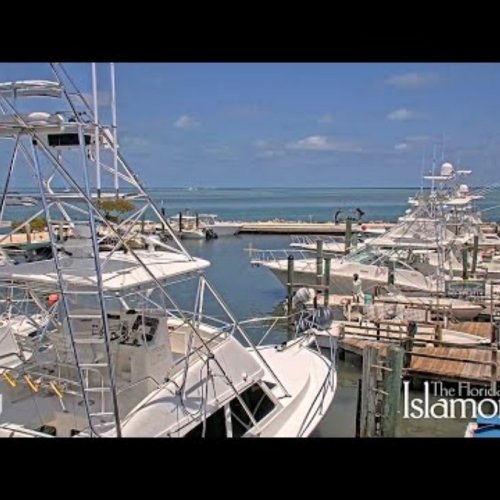 Whale Harbor Marina Live Webcam – Islamorada, Florida Keys