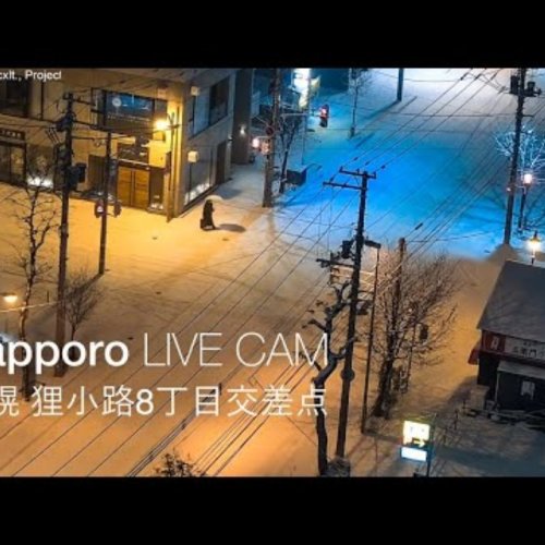 Sapporo Tanukikoji Street Live Cam: City Life in Hokkaido