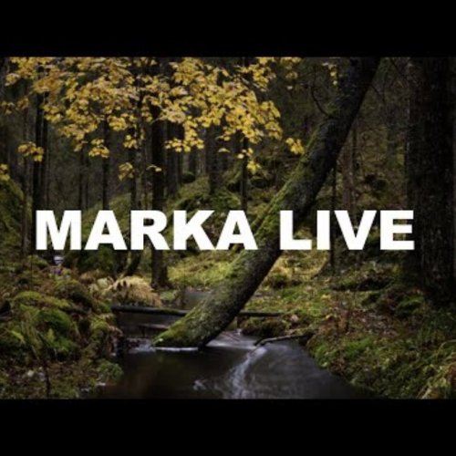 Marka Forest Live: Nature's Seasons Near Oslo, Norway