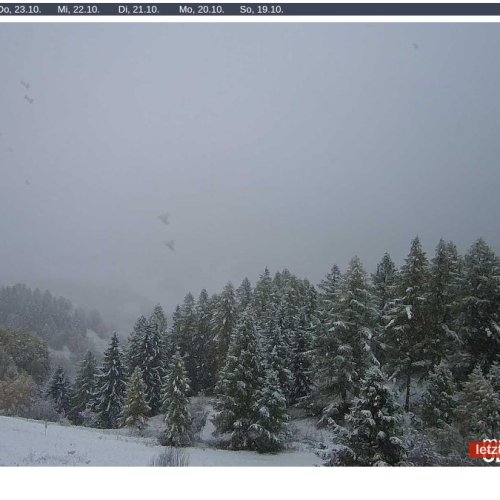 Blitzingen Hotel Castle Webcam: Live Views of Obergoms, Switzerland