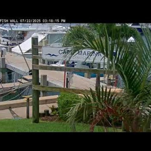 Live from Cape Marina | Port Canaveral, USA