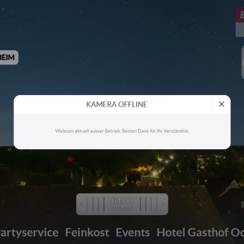 Experience The Charm Of Arlesheim Through Live Webcam