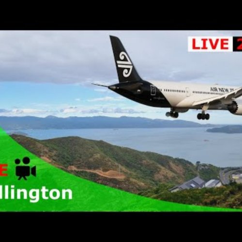 Wellington Harbour Hilltop Panorama: A Live View of New Zealand's Capital