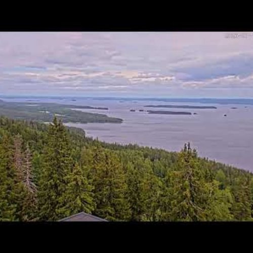 Koli Ridge Lake Pielinen Panorama Live Cam | Finland Views