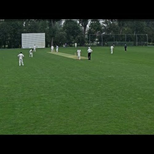 Cricket webcam at Schiedam, The Netherlands