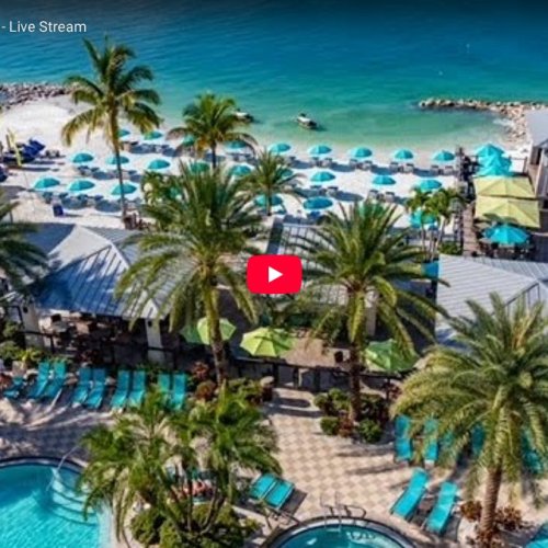 Shephard's Beach Resort Live Cam: Clearwater Beach, FL