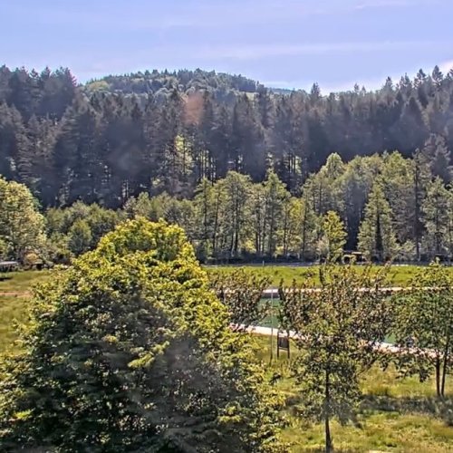 Lac Des Sapins Live View