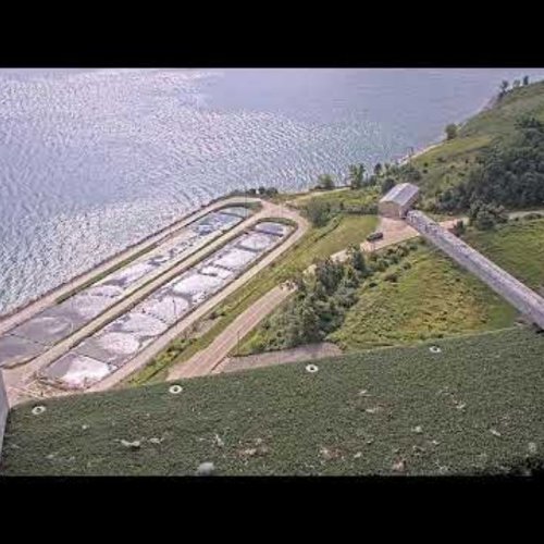 Peregrine Falcon Webcam: Oak Creek, Wisconsin Live View