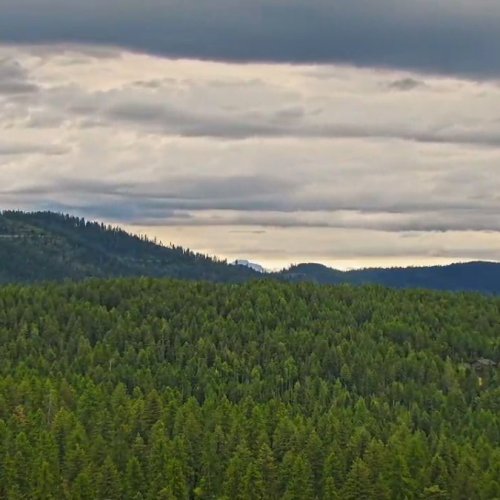Whitefish, Montana Live: Majestic Mountain & Forest Views