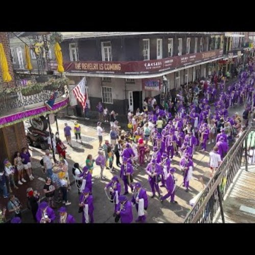 Cat's Meow Balcony Live Cam New Orleans, USA