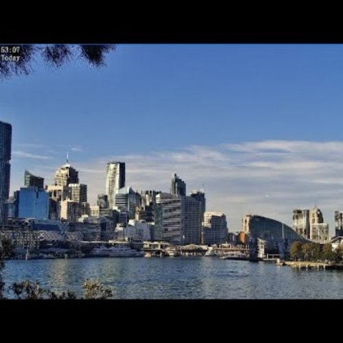 Sydney Harbour Live Webcam: City Skyline and Water Views