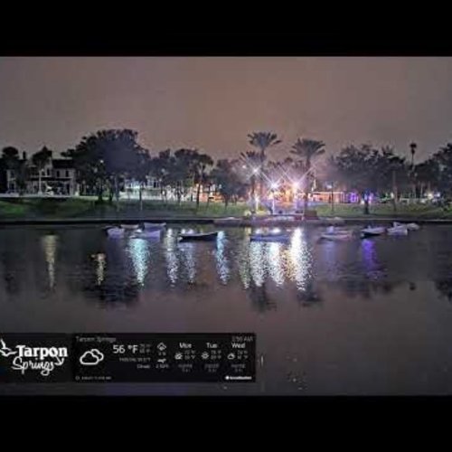 Tarpon Springs Spring Bayou Manatee Live Cam
