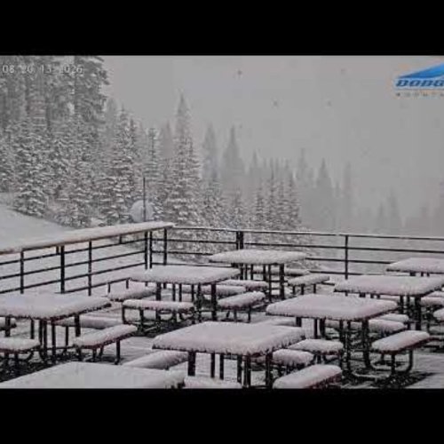 Dodge Ridge Mountain Resort Waystation Live Webcam