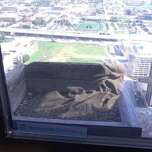 Omaha, Nebraska Live Webcam: Aerial Downtown View