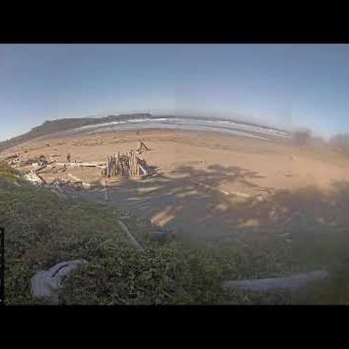 Cox Bay Beach Live Webcam: Pacific Sands, Tofino BC