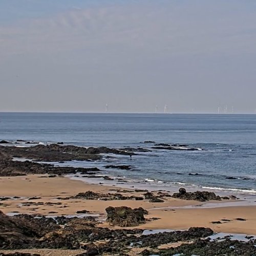 Batz-sur-Mer La Govelle Beach Live View