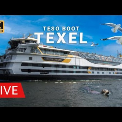 Live Ferry View: Texel Boat from Den Helder, Netherlands