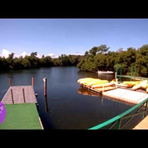 Virgin Island Ecotours Mangrove Lagoon Live Webcam