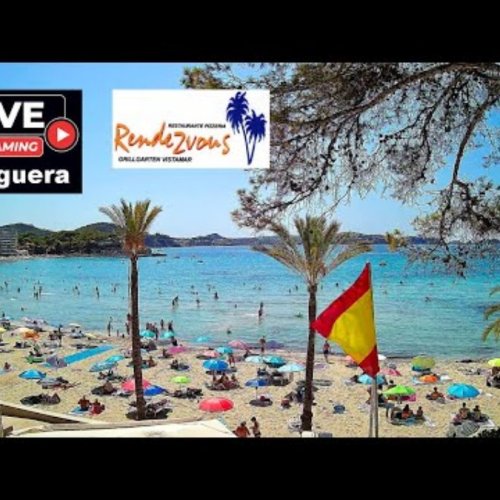 Playa Palmira Beach Live Webcam in Peguera, Mallorca