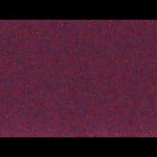 Underwater Puget Sound at Redondo Beach Pier | Live Marine Life Feed