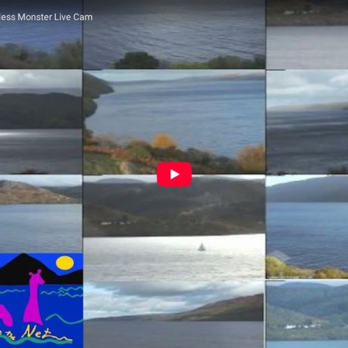 Loch Ness Live Cam: Views from Grotaig, Scotland 🏴