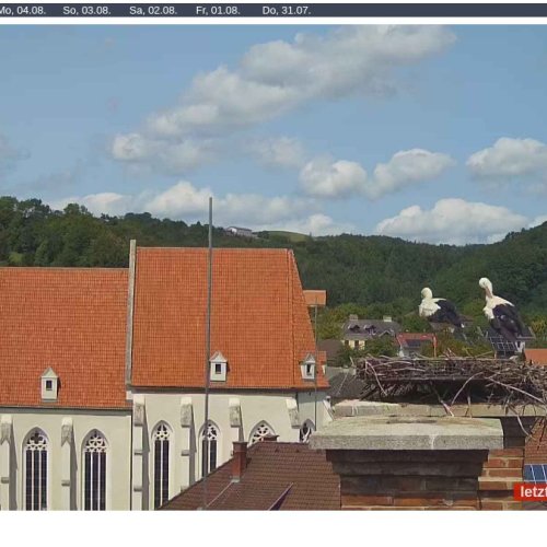 Kirchschlag Stork Cam: Views of Mönichkirchen's Hilly Landscape