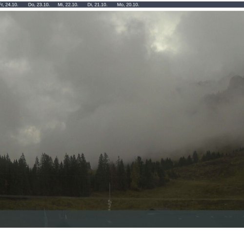 Postalm Zauberteppich Live Webcam: Abtenau Alpine Views