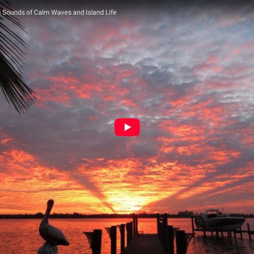 Siesta Key's Little Sarasota Bay Live Webcam