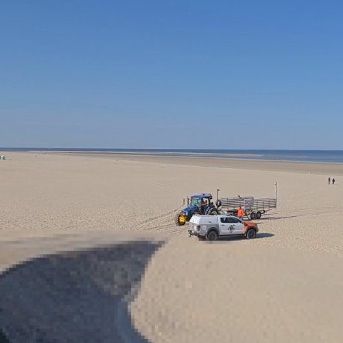 Berck-sur-Mer Beach Live: A Glimpse of Serenity 🌊