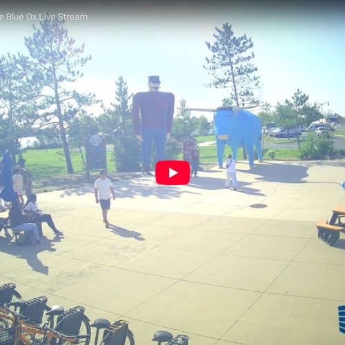 Paul Bunyan & Babe the Blue Ox Statues Live Cam in Bemidji, MN