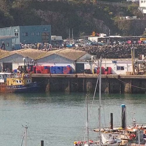 Brixham Harbour Live View