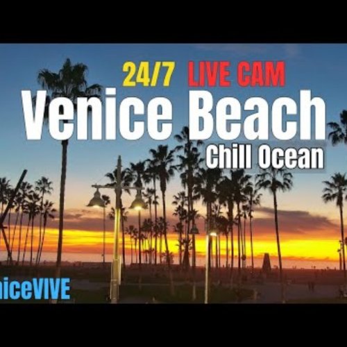 Venice Beach Ocean Front Walk Live Cam | Los Angeles, CA