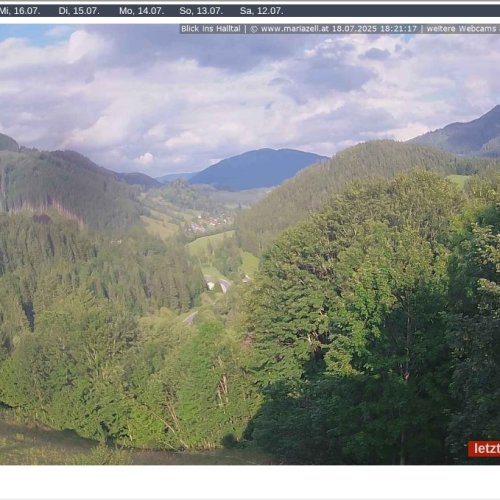 Mariazell Webcam: Halltal Valley View from Bürgeralpe