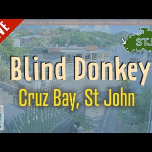 Blind Donkey Cruz Bay, St. John Live Webcam