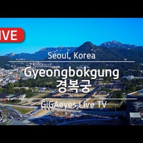 Gyeongbokgung Palace Live Webcam: Royal Views of Seoul, South Korea